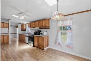 14647 BILLIE LANE, DADE CITY, FL 33525 - MLS#MFRTB8503544