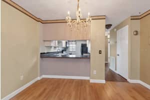 3803 OAK DRIVE, TAMPA, FL 33611 - MLS#MFRTB8503548