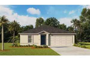 1117 WILD CLOVER WAY, PLANT CITY, FL 33566 - MLS#MFRTB8503621