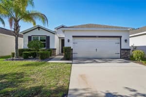 10613 Scenic Hollow Dr, RIVERVIEW