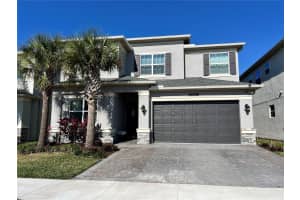 3281 GREAT BANYAN WAY, WESLEY CHAPEL, FL 33543 - MLS#MFRTB8503678