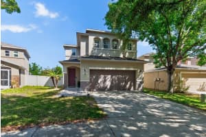 11118 Silver Fern Way, RIVERVIEW