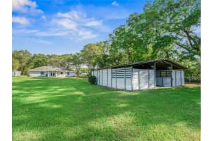 30 145TH STREET, OCALA, FL 34473 - MLS#MFRTB8503692