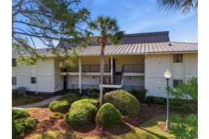 29130 Bay Hollow Dr #3312, WESLEY CHAPEL