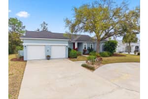 846 BIRDIE WAY, APOLLO BEACH, FL 33572 - MLS#MFRTB8503728