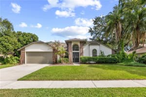2315 Eagle Bluff Dr, VALRICO
