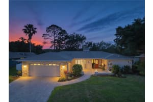405 HOLLY HILL ROAD, OLDSMAR, FL 34677 - MLS#MFRTB8503763