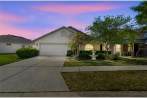 4022 Waterville Ave, WESLEY CHAPEL