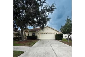 4017 Langdrum Dr, WESLEY CHAPEL