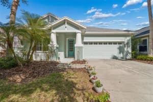 20133 Heron Crossing Dr, TAMPA