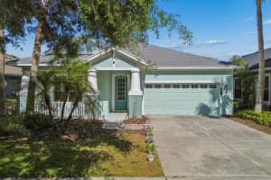 20133 HERON CROSSING DRIVE, TAMPA, FL 33647 - MLS#MFRTB8503823