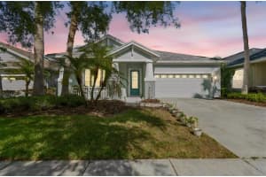 20133 HERON CROSSING DRIVE, TAMPA, FL 33647 - MLS#MFRTB8503823