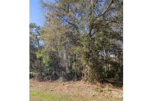 KEY LIME, NEW PORT RICHEY, FL 34654 - MLS#MFRTB8503827