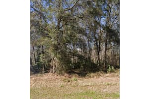 KEY LIME, NEW PORT RICHEY, FL 34654 - MLS#MFRTB8503827