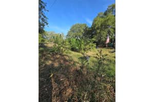 14515 GIDDYUP LANE, HUDSON, FL 34669 - MLS#MFRTB8503829