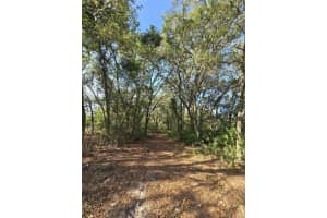 14515 GIDDYUP LANE, HUDSON, FL 34669 - MLS#MFRTB8503829