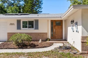 620 JACARANDA STREET, DUNEDIN, FL 34698 - MLS#MFRTB8503844