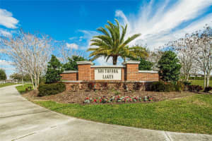 11355 LELAND GROVES DRIVE, RIVERVIEW, FL 33579 - MLS#MFRTB8503850