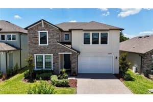 22294 Storybook Cabin Way, LAND O LAKES
