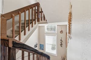 3227 VALLEY OAKS DRIVE, TAMPA, FL 33618 - MLS#MFRTB8503874