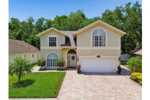 9803 Long Meadow Dr, TAMPA