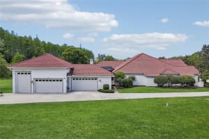 16117 SUNCREST SHORES DRIVE, ODESSA, FL 33556 - MLS#MFRTB8503915