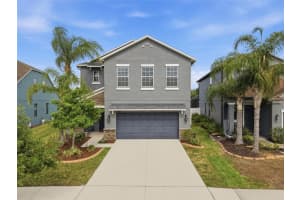 18891 Hampstead Heath Ct, LAND O LAKES