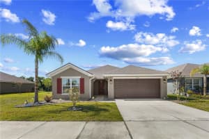 13019 Ogden Glade Rd, DADE CITY