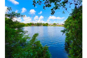1145 7TH STREET, SAFETY HARBOR, FL 34695 - MLS#MFRTB8503941
