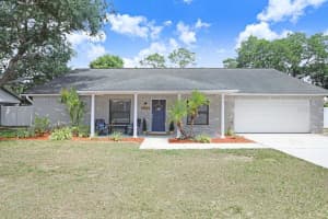 2404 BUCKHORN MANOR DRIVE, VALRICO, FL 33594 - MLS#MFRTB8504011