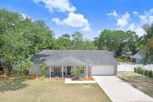 2404 BUCKHORN MANOR DRIVE, VALRICO, FL 33594 - MLS#MFRTB8504011