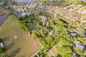 13815 PLAINVIEW ROAD, ODESSA, FL 33556 - MLS#MFRTB8504016
