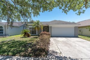 9735 Cypress Shadow Ave, TAMPA