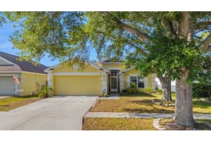 10510 Egret Haven Ln, RIVERVIEW
