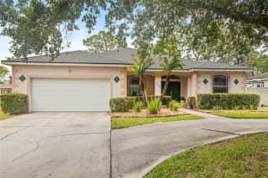 5306 131ST AVENUE, TEMPLE TERRACE, FL 33617 - MLS#MFRTB8504072