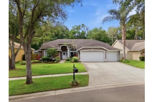 10602 Chambers Dr, TAMPA