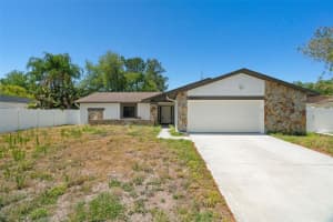 16104 Country Crossing Dr, TAMPA