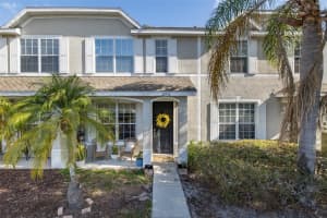 12739 Sunland Ct, TAMPA