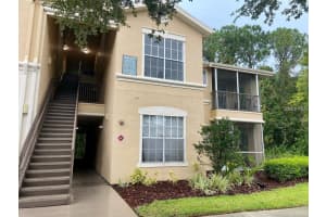 5125 Palm Springs Blvd #9204, TAMPA
