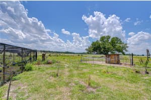 4036 MOORES LAKE ROAD, DOVER, FL 33527 - MLS#MFRTB8504174