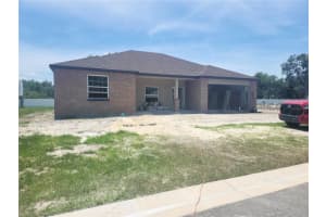 411 SHANNON ESTATES COURT, PLANT CITY, FL 33563 - MLS#MFRTB8504186