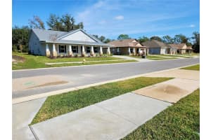 411 SHANNON ESTATES COURT, PLANT CITY, FL 33563 - MLS#MFRTB8504186