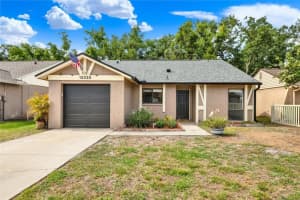 12320 WITHERIDGE DRIVE, TAMPA, FL 33624 - MLS#MFRTB8504187