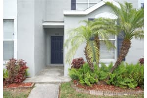 6252 Osprey Lake Cir, RIVERVIEW