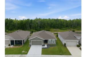 10325 GLIDING EAGLE WAY, LAND O LAKES, FL 34638 - MLS#MFRTB8504201
