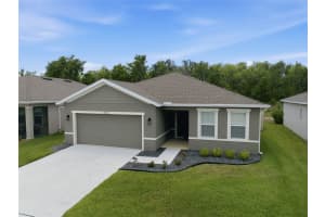 10325 GLIDING EAGLE WAY, LAND O LAKES, FL 34638 - MLS#MFRTB8504201