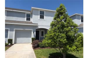 7009 Grand Elm Dr, RIVERVIEW