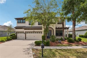 8355 SWISS CHARD CIRCLE, LAND O LAKES, FL 34637 - MLS#MFRTB8504214