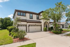 8355 SWISS CHARD CIRCLE, LAND O LAKES, FL 34637 - MLS#MFRTB8504214
