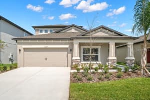 16049 Sonoma Grove Cir, TAMPA